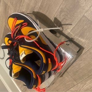 Nike Off-white Dunks